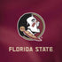 Florida State University Red Jersey Amazon Echo Skin