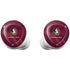 Florida State University Red Jersey Galaxy Buds Plus Skin