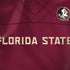 Florida State University Red Jersey Dell Latitude Skin