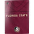 Florida State University Red Jersey PS5 Bundle Skin