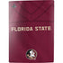 Florida State University Red Jersey PS5 Digital Edition Bundle Skin