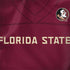 Florida State University Red Jersey Surface Book 2 13.5in Skin