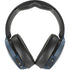 Looney Tunes Foghorn Leghorn Thats All Folks Skullcandy Venue Skin