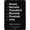 Warner Bros FRIENDS Crew Apple iPad Air Skin