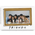 Warner Bros FRIENDS Milkshakes MacBook Skins