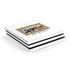 Warner Bros FRIENDS Milkshakes PlayStation PS4 Skins