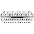 Warner Bros FRIENDS Pattern Amazon Echo Buds Skin