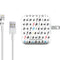 Warner Bros FRIENDS Pattern iPad Charger (10W USB) Skin
