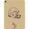 Florida State University FSU Helmet Apple iPad Air Skin