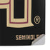 Florida State FSU Seminoles Black PS5 Pro Console Skin