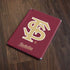 Florida State FSU Seminoles Initials Apple iPad Skin