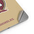 Florida State FSU Seminoles Logo Apple iPad Air Skin
