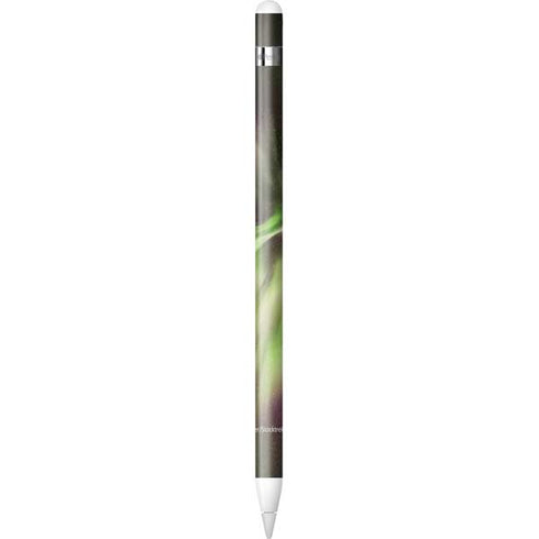 StockTrek Full Sky Aurora Apple Pencil (1st Gen, 2017) Skin