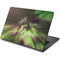 StockTrek Full Sky Aurora Dell Chromebook Skin