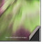 StockTrek Full Sky Aurora Galaxy Note20 Ultra 5G Skin