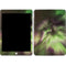 StockTrek Full Sky Aurora Apple iPad Skin