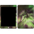 StockTrek Full Sky Aurora Apple iPad Skin