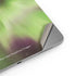 StockTrek Full Sky Aurora Apple iPad Air Skin