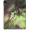 StockTrek Full Sky Aurora iPad Cases