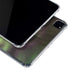 StockTrek Full Sky Aurora iPad Cases