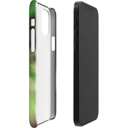 StockTrek Full Sky Aurora iPhone 12 Mini Lite Case