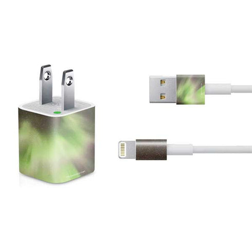 StockTrek Full Sky Aurora iPhone Charger (5W USB) Skin