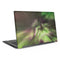 StockTrek Full Sky Aurora Dell Latitude Skin