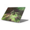 StockTrek Full Sky Aurora Apple MacBook Pro 16-inch Skin