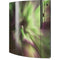 StockTrek Full Sky Aurora Playstation 3 & PS3 Skin
