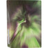 StockTrek Full Sky Aurora PS5 Bundle Skin
