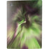 StockTrek Full Sky Aurora PS5 Digital Edition Console Skin