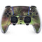 StockTrek Full Sky Aurora PS5 DualSense Edge Pro Controller Skin