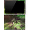 StockTrek Full Sky Aurora Surface Pro 4 Skin