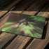 StockTrek Full Sky Aurora Surface Pro 6 Skin