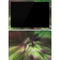 StockTrek Full Sky Aurora Surface Pro 7 Skin