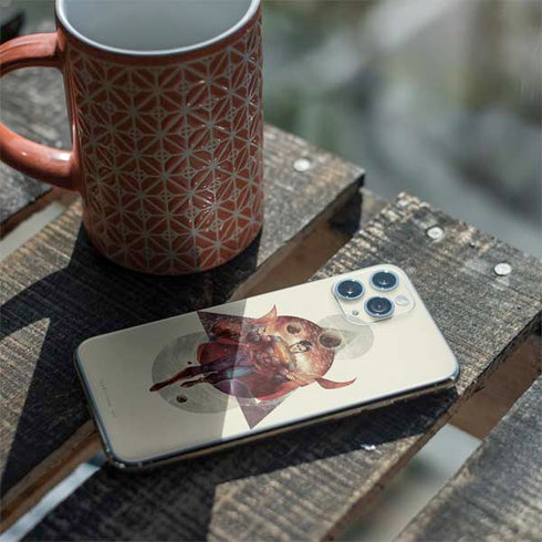 DC Comics Superman Galaxy Flying iPhone 11 Pro Skin