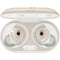 Game of Thrones: Fire & Blood Galaxy Buds Plus Skin
