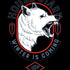 Game of Thrones: House Stark Direwolf iPhone XR Skin