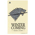 Game of Thrones: House Stark Sigil PS5 Slim Disk Bundle Skin