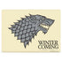 Game of Thrones: House Stark Sigil Surface Laptop 3 13.5in Skin
