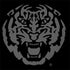 LSU Geaux Tigers Dell Latitude Skin