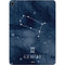 Gemini Constellation Apple iPad Air Skin
