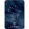 Gemini Constellation Apple iPad Mini Skin