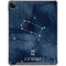 Gemini Constellation iPad Cases