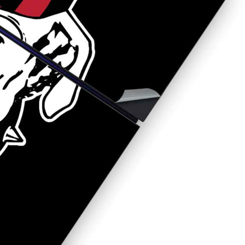 University of Georgia Bulldogs Mascot PS4 Console Skin