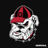 University of Georgia Bulldogs Mascot PS4 Slim Skin