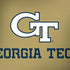 Georgia Institute of Technology Gold LogoType GT Dell Latitude Skin