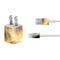 StockTrek Giant Asteroid Collides with Planet Earth iPhone Charger (5W USB) Skin