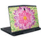 Ginseng Flower Dell Alienware Skin