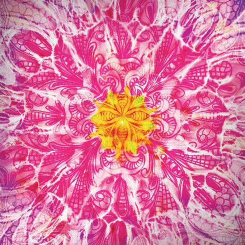 Ginseng Flower Moto G6 Skin